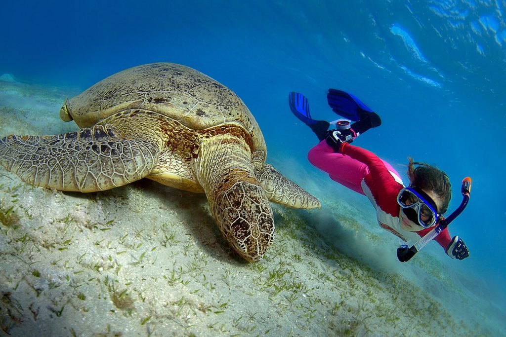 Daymaniyat Island snorkeling tour from Muscat – boat trip in Oman