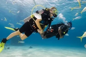 Eco-Friendly Practices-Snorkeling in Oman