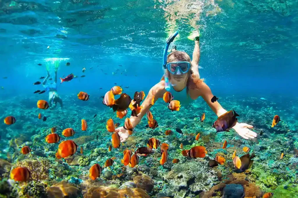 Family-Friendly-Snorkeling in Oman