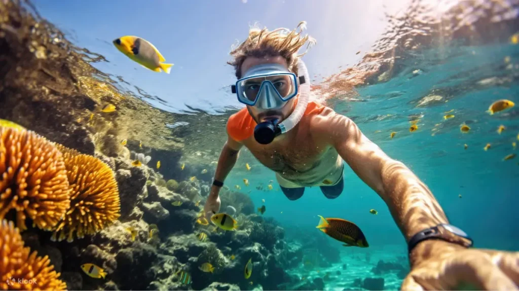 Pristine Waters​-Snorkeling in Oman