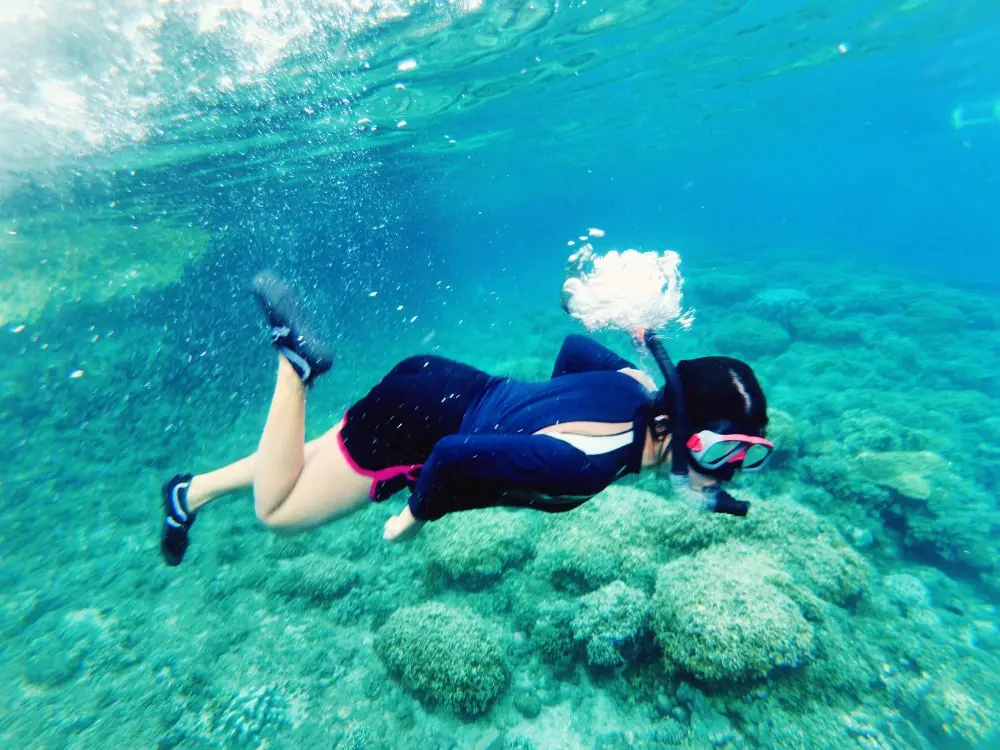 Privet-Snorkeling Daymaniyat Island Tour