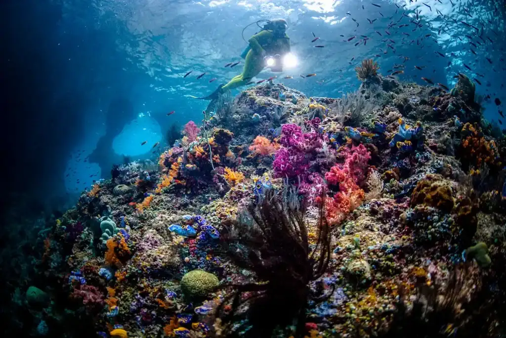 Secluded and Peaceful-Snorkeling in Oman