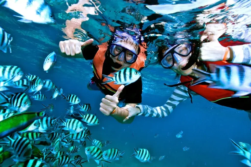 Snorkeling in Oman
