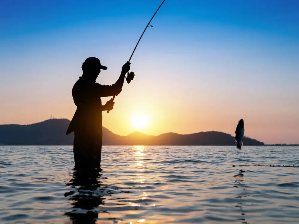 fishing Daymaniyat Island Tour