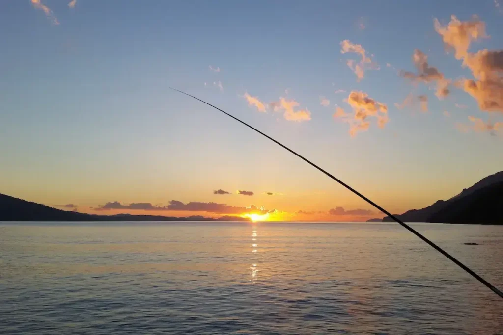 Fishing view Fishing Tour