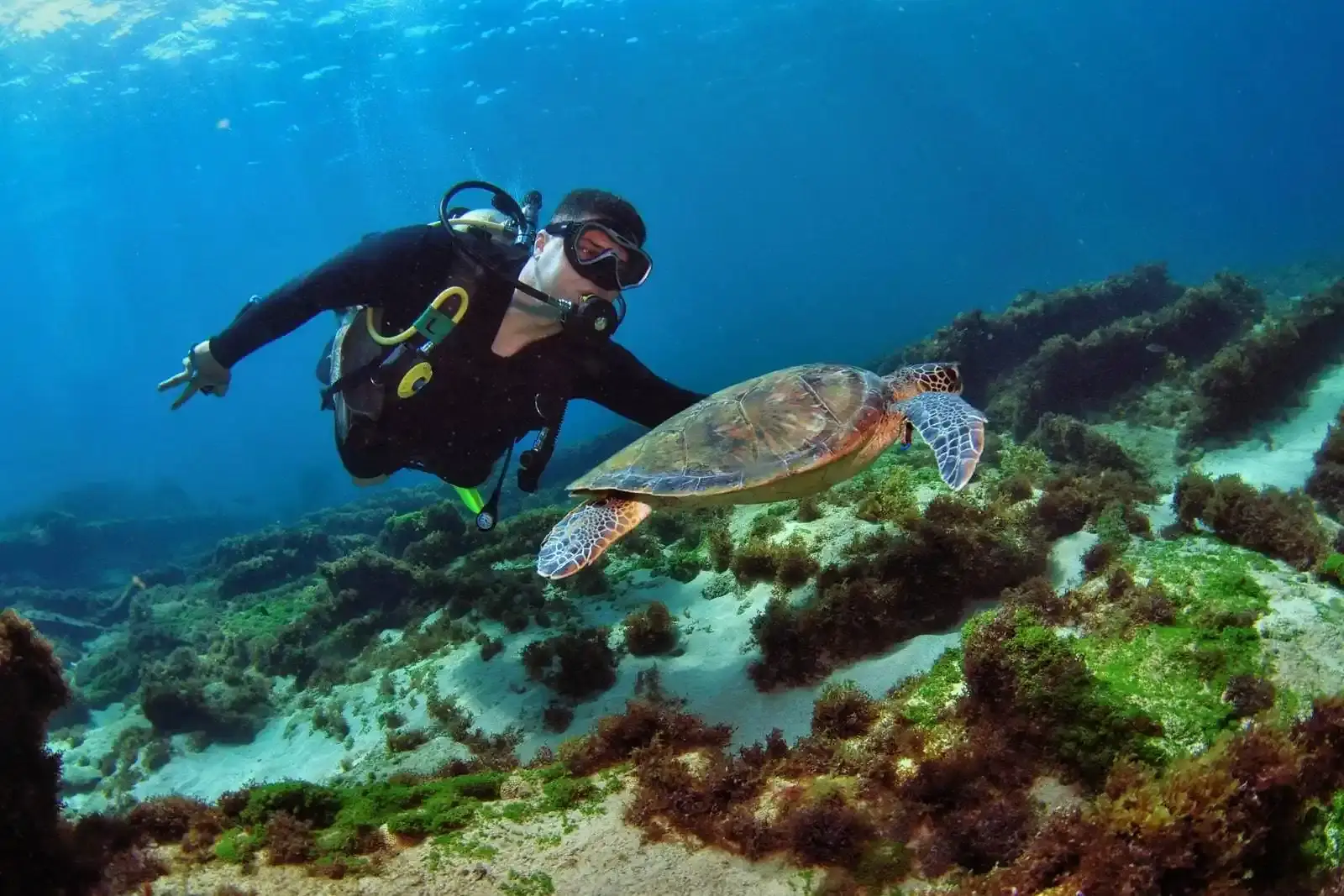 Muscatseaadventure 2-Daymaniyat Island Tour